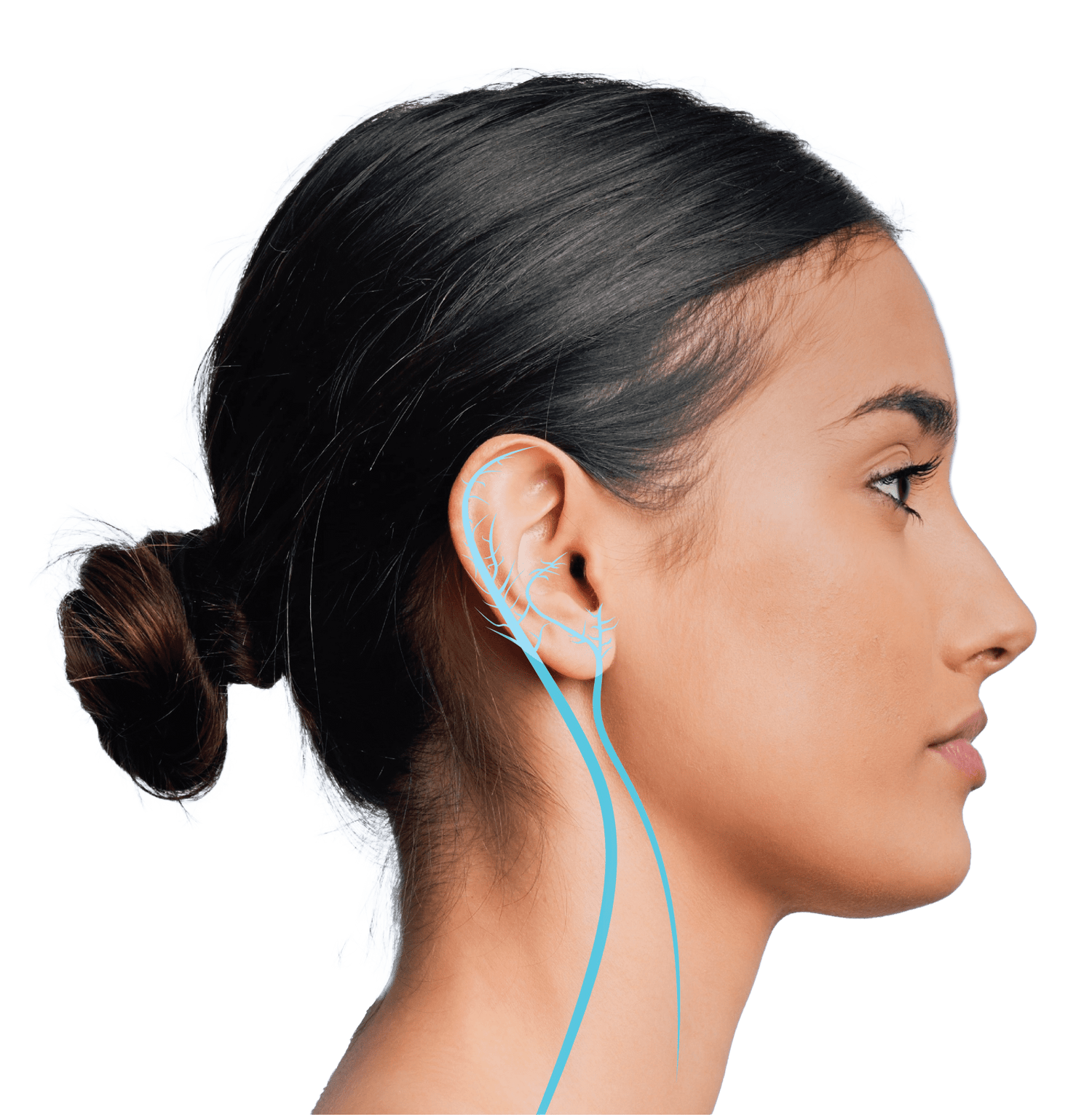 Profile of a woman with an illustration highlighting ear anatomy on a blue background.
